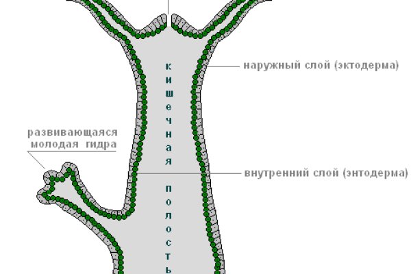 Кракен вход kr2web in