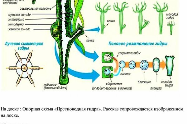 Кракен зарегистрироваться